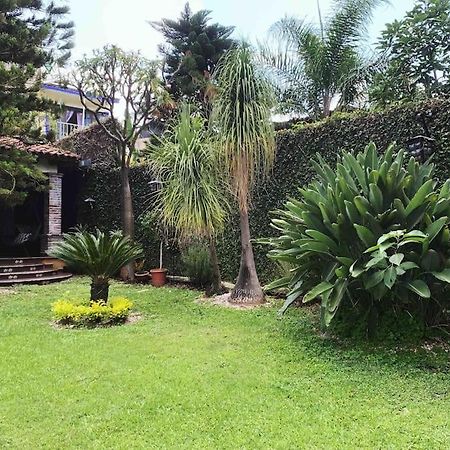 Villa Naranjo -Habitacion En Casa Particular- Yautepec Exterior photo